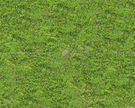 Green Grass Texture Seamless 13004