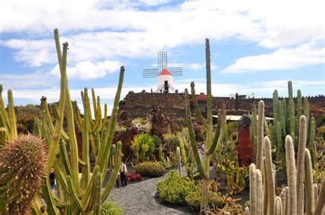 Zdjęcia Lanzarote Wyspy Kanaryjskie Ogród Kaktusów HISZPANIA