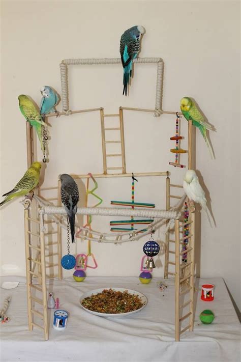 45 best DIY Bird Perches & Toys images on Pinterest | Budgies, Parrots ...