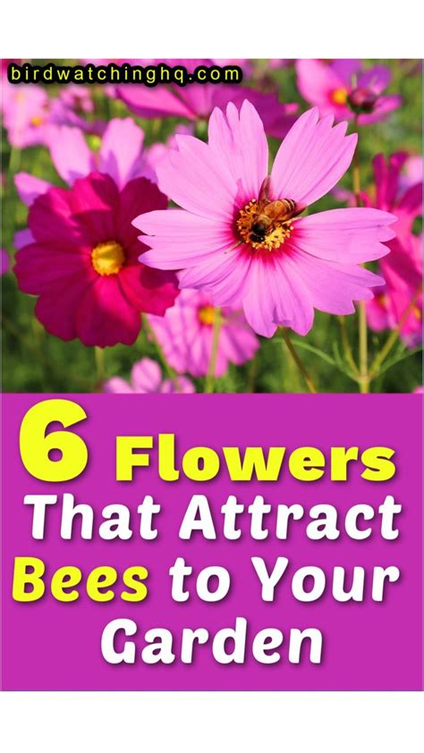 6 Flowers That Attract Bees to Your Garden | Attracting bees, Bee ...