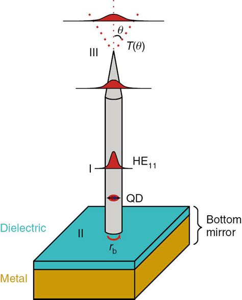 Schematic Illustration Of The Nanowire Growth Modes A Vls Growth Download Scientific Diagram