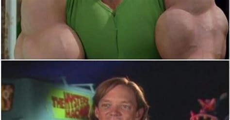 Shaggy Meme Dump Album On Imgur