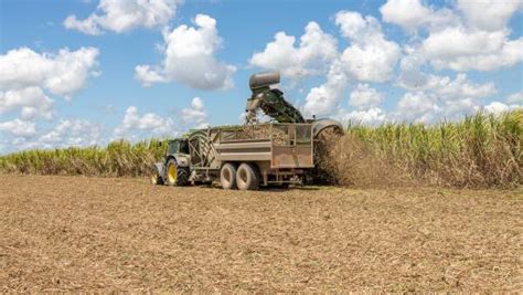 Wilmar Sugar revise crop estimates upwards – Australian Country Life