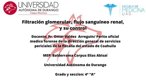 Presentación de Fisiología Filtración glomerular DR OMAR VALDEZ