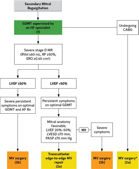 Aha Acc Hfsa Guideline For The Management Of Heart Failure A