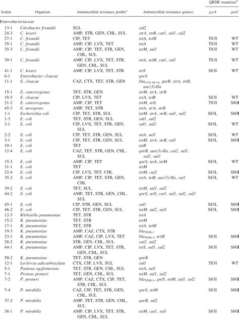 Antimicrobial resistance and resistance genes of isolates from cooked ...