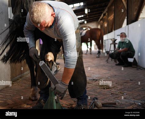 Farrier At Work Poland Stock Photo Alamy