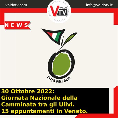 30 Ottobre 2022 Giornata Nazionale Della Camminata Tra Gli Ulivi 15