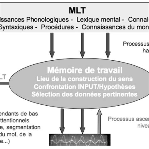 Schéma Des Processus Cognitifs En Co 14 Download Scientific Diagram