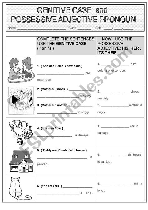 Genitive Case And Possessive Adjective Pronoun Esl Worksheet By