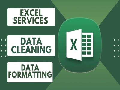 An Excel Data Entry Cleaning And Formatting Expert Upwork