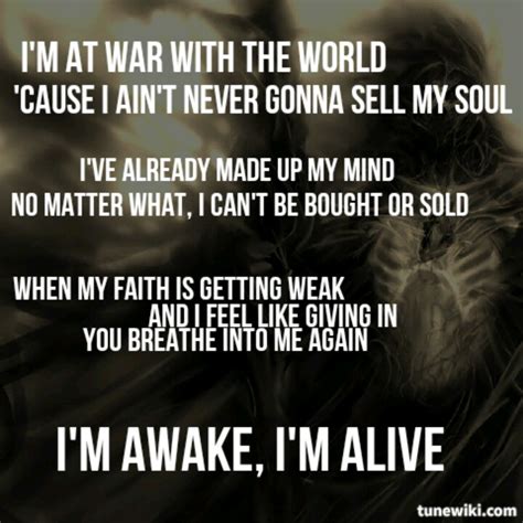 Skillet Quotes Quotesgram