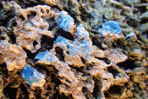 Rocks Formed Out Of Plastic Robinage