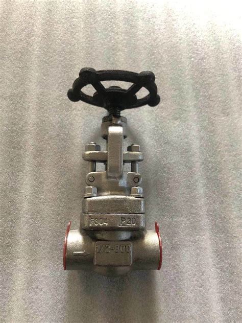 Ansi Api Lb Forged Stainless Steel F F Sw Bw Npt Globe Valve