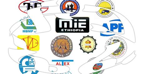 “EFFORTን” መውረስ የኢኮኖሚውን ጥገኛ ተውሳክ እንደማስወገድ ነው!
