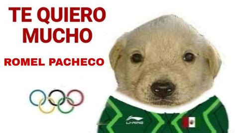 Te Quiero Mucho Memes Del Perrito Que Apoyan A México En Tokio 2020