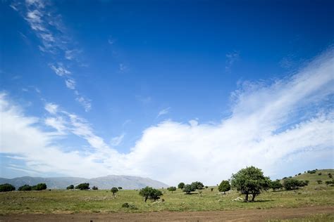 Indigenous Communities Transform a Mexican Desert Landscape Into Forest ...