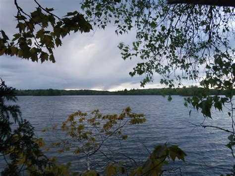 Silver Lake Trails (Bucksport)