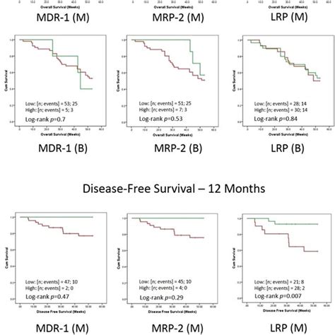 Kaplan Meier Survival Analysis Of Aml Patients In Relation To Mdr