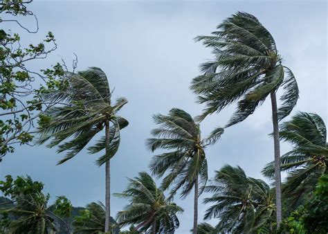 Northern Territory Residents Warned To Prepare For Tropical Cyclone Megan