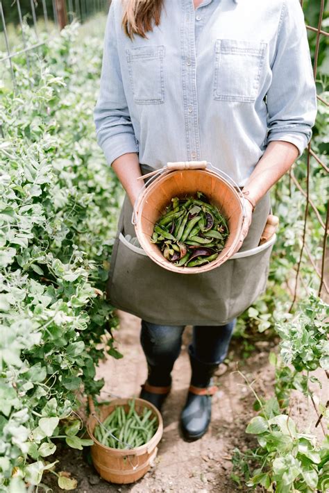 5 Preservation Tips To Maximize Your Garden Harvest — Katie Oglesby Kitchen Garden Design