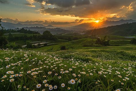 Charm Filled Haven A Spring Landscape Illuminated By The Gentle