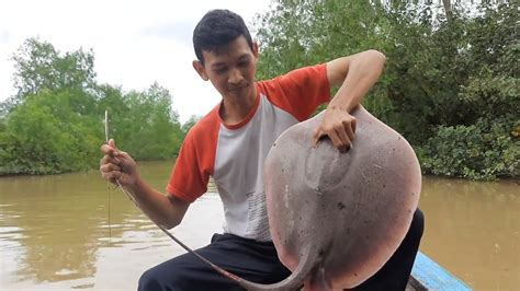 Perangkap Udang Ikan Kepiting Tuguk Sungai Nelayan Sungai Musi