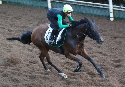 米bc参戦アリスヴェリテ、鞍上がカナダで活躍する木村和士に決定 中竹師「木村騎手にお任せします」 スポニチ競馬web