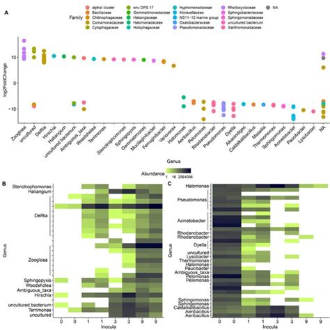 Transformation Of Metformin To Guanylurea Metformin Degradation Is