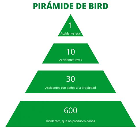 Pirâmide De Frank Bird Librain