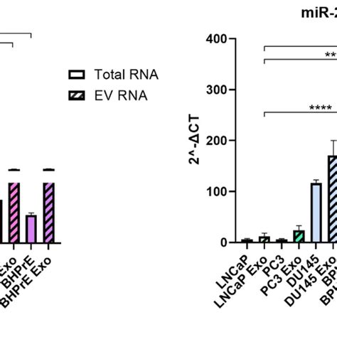 Comparative Analysis Of Mirna Expression In Evs From Tumoral And