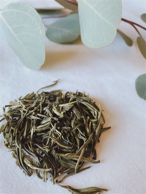 Karlissa Ablay Yunnan Zhu Ye Qing Green Tea