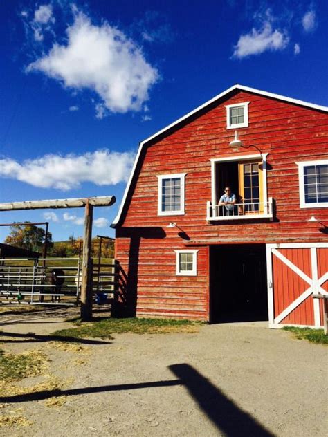 This Is My Dream Barn Only I Would Add An Extra 4 Or 6 Stalls Out Back