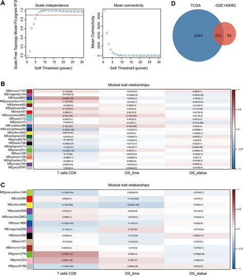 Frontiers Identification Of Cd T Cell Related Biomarkers In Ovarian