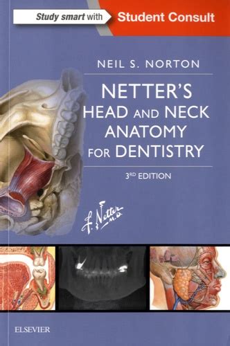 Netter S Head And Neck Anatomy For Dentistry De Neil S Norton Livre