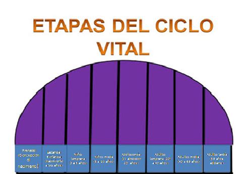 Martha Gutierrez Acho ETAPAS DEL CICLO VITAL