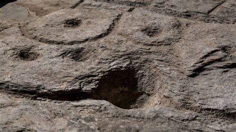 Bronze Age Stone Slab Discovered In France Is Oldest 3D Map In Europe