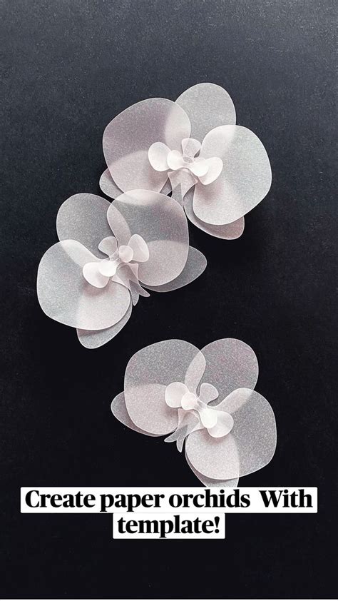 Create Paper Orchids with Template!