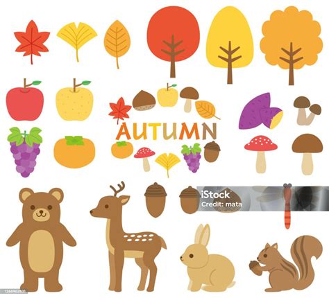 Autumn Illustrations Set Stock Illustration Download Image Now