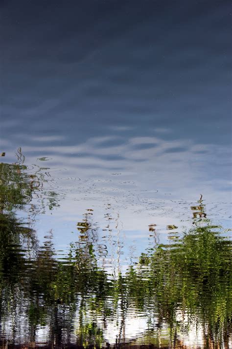 Green Trees Reflection In Water Free Stock Photo Public Domain Pictures