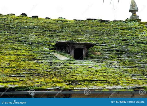 Old Slate Roof Covered In Moss Stock Photo Image Of Climate Damp