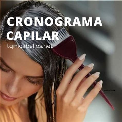 Cronograma Capilar Deluxe Tqmcabellos Net