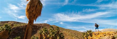 Home - Visitor Information Center for Palm Desert & Palm Springs