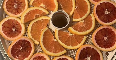 Oranges For Dehydration Album On Imgur