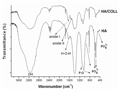 FT IR Spectra Of The Hydroxyapatite With And Without Collagen