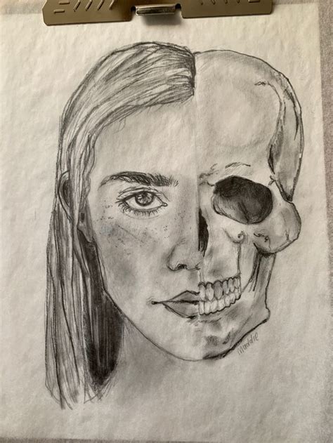 Skull Art Half Face Drawing Human Face Drawing Skeleton Face Drawing