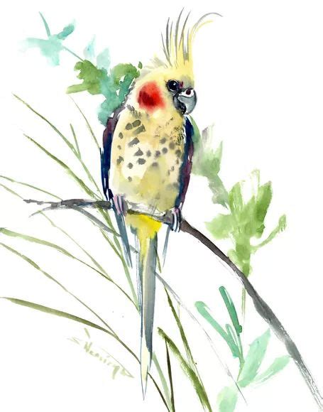 Cockatiel Parrot Painting Watercolour By Suren Nersisyan