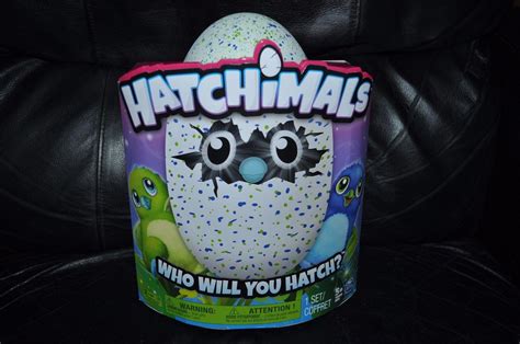 Hatchimals Hatching Egg Draggle Blue Green ~ Spin Master Hatchimals ~ New 1840592647