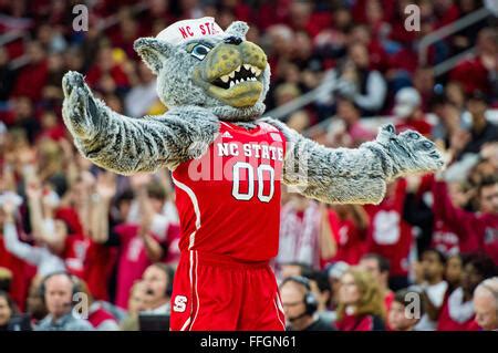 The NC State Wolf mascot during the NCAA College Basketball game Stock ...