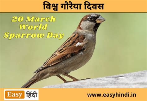 विश्व गौरैया दिवस 2023 Word Sparrow Day विश्व गौरैया दिवस क्यों मनाया